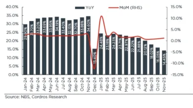 Estimated inflation to average 21.9% y/y in 2025, analysts 3 Screenshot 15 12 2025 181926 mail.google.com