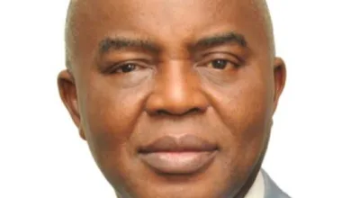 Ogijo battery pollution: Ogun suspends three environmental firms after audit 4 images 147