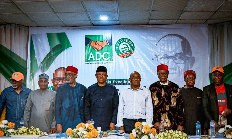 The osmotic nature of Nigerian politics: Peter Obi’s defection in perspective, by Okoi Obono-Obla 1 IMG 20260101 WA0003