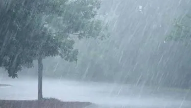 Akure experiences first rainfall of 2026 after weeks of heat 11 IMG 20260101 WA0039