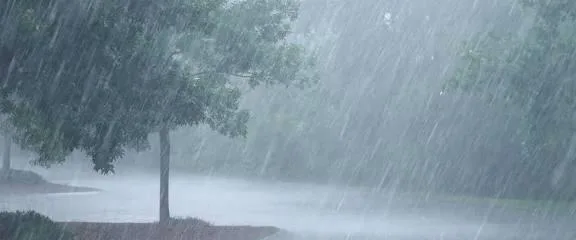 Akure experiences first rainfall of 2026 after weeks of heat 1 IMG 20260101 WA0039
