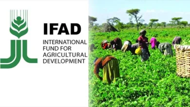 New IFAD LIFE-ND phase to support 14,800 beneficiaries in Ondo 8 IMG 20260108 WA0018