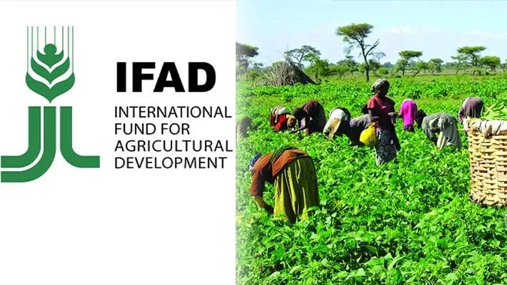 New IFAD LIFE-ND phase to support 14,800 beneficiaries in Ondo 1 IMG 20260108 WA0018