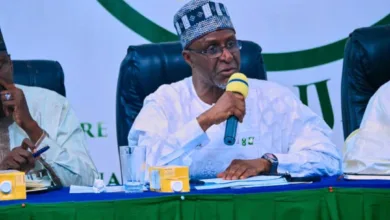 FG plans N500bn green bond issuance in 2026 to fund climate projects 3 IMG 20260115 WA0039