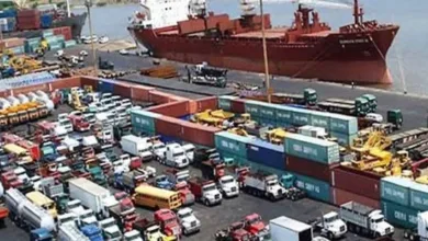 Nigeria’s non-oil exports hit record $6.1bn in 2025 — NEPC 2 IMG 20260119 WA0037