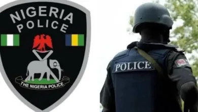 Police bust cattle theft ring in Ondo, arrest two suspects 2 IMG 20260121 WA0006
