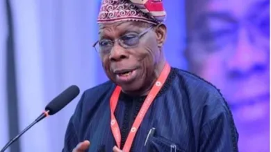 Mambilla: How Obasanjo government inflated power project cost by N11bn — EFCC witness 6 IMG 20260122 WA0009