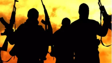 JUST IN: Gunmen kidnap Ondo woman, shoot two residents 11 IMG 20260126 WA0011