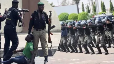 Ekiti police bust vehicle-snatching gang, arrest 44, recover 558 rustled cattle 3 IMG 20260127 WA0041