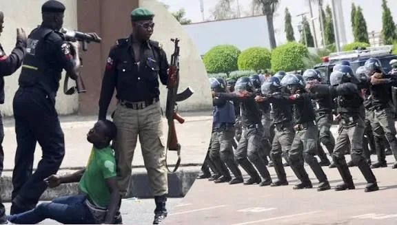 Ekiti police bust vehicle-snatching gang, arrest 44, recover 558 rustled cattle 1 IMG 20260127 WA0041