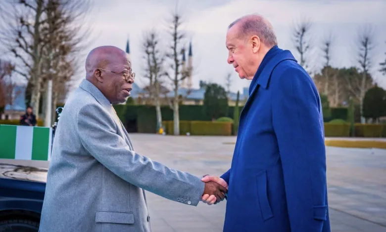 Tinubu’s masterclass in economic diplomacy, by Olabode Opeseitan 1 IMG 20260129 WA0064