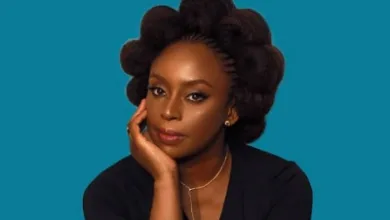 IMG 20260108 112819 400 x 250 pixel
