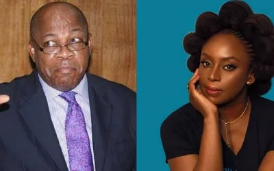 ‘Preventable deaths like this must stop now’ — Olisa Agbakoba on Chimamanda tragedy 1