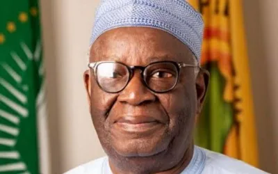 Gambari calls for stronger political parties to safeguard Nigeria’s democracy 1