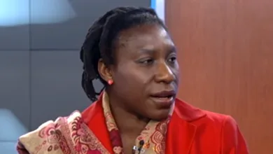 I feel more comfortable in APC than other parties, says Iyabo Obasanjo 4 Iyabo Obasanjo