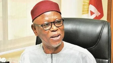 ADC-Obidient alliance will oust APC in 2027, says Odigie-Oyegun 5 images 160