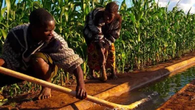 Kogi youths gain mechanisation skills in FG–IFAD agricultural programme 4 images 2026 01 14T174104.943