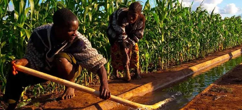 Kogi youths gain mechanisation skills in FG–IFAD agricultural programme 1 images 2026 01 14T174104.943