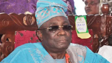 Cultural grandeur in Isale Eko as Lagos gets new white cap chiefs 14 oba Rilwan Akiolu