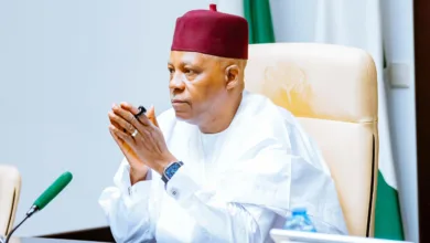 FG inaugurates CREDICORP board, targets 50% credit access for workers by 2030 5 318f490f 4e8a 49d3 8aee 2fbd53abf992
