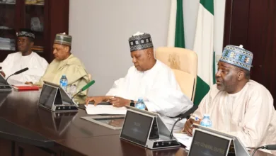 MSME clinics, shared hubs generate 250,000 jobs — Shettima 7 750439de cb50 4683 a255 083d32403863