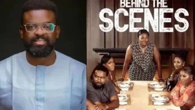 Nollywood: Understanding the economics of box office revenue — by Bennett Nwankwo 6 IMG 20260202 WA0002