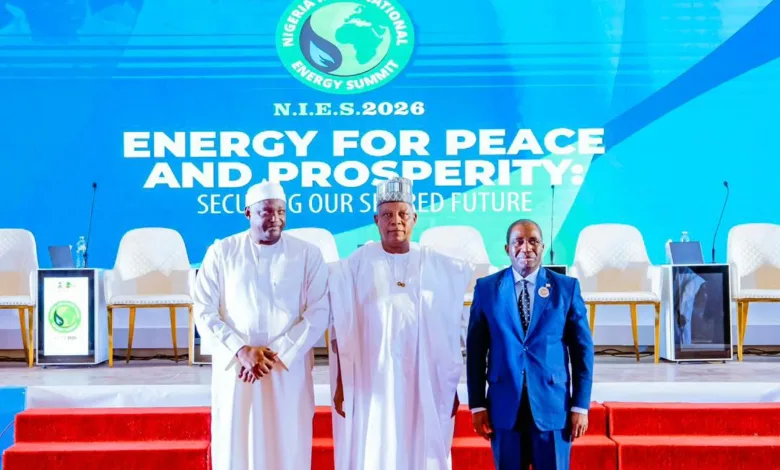 Tinubu calls for global, African partnership on secure, cleaner energy 5 IMG 20260203 WA0025