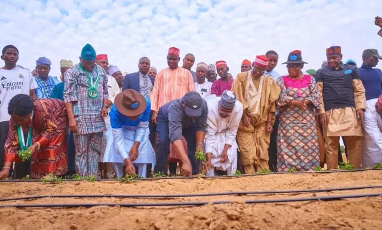 FG flags off Bela Dam, launches drip irrigation project in Kano 1 IMG 20260204 WA0021