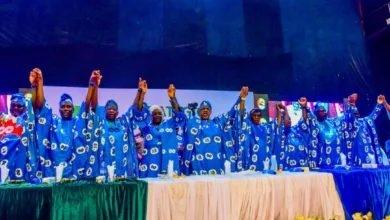 2027: Tinubu’s reforms rescued Nigeria from collapse, says Abiodun as Ogun APC endorses President 10 IMG 20260212 WA0008