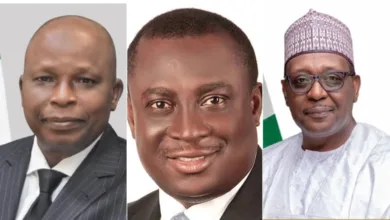 UCTH and tribalism: The red line Nigeria must not cross — by Osita Chidoka 10 IMG 20260219 WA0000
