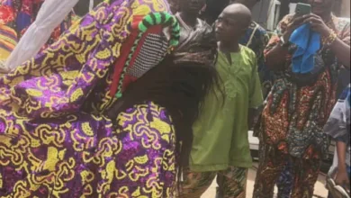 Ajofoyinbo Masquerade takes centre stage at Egungun festival in Ota Aworiland 86 IMG 20260220 WA0028
