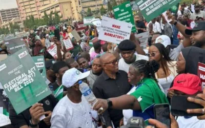 Why outrage cannot substitute for institutional reforms — by Chioma Ahaghotu 1