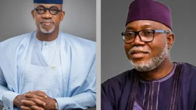 Two Ebas, one truth: Why facts must anchor the Ogun–Ondo boundary debate — by Segun Showunmi 9 IMG 20260223 172152 6 x 4 inch