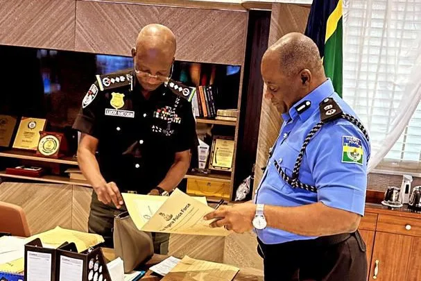 EXCLUSIVE: Why the axe fell on IGP Egbetokun 1