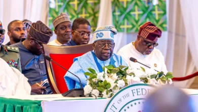 NEC decisions must translate into jobs and better living conditions for Nigerians — Tinubu 16 IMG 8279