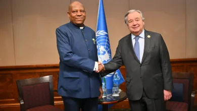 Guterres urges Nigeria to lead Africa in new global order, backs UNSC bid 11 IMG 8470