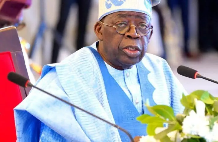 Tinubu congratulates winners of FCT, Kano and Rivers elections, praises peaceful polls 1 IMG 8900