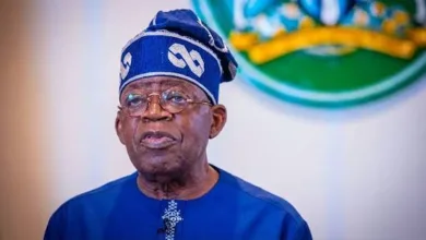 Tinubu extends ban on raw shea nut export for one year 9 IMG 9080