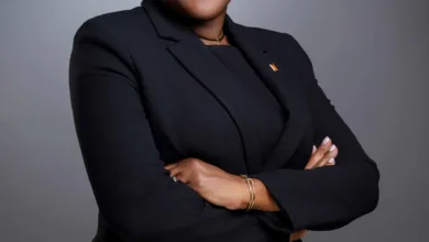 Access Bank appoints Ifeyinwa Osime as board chairman 11 Ifeyinwa Osime 1