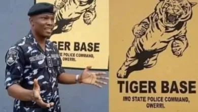 Amnesty accuses Imo police anti-kidnapping unit of torture, unlawful killings 3 Screenshot 20260227 140336