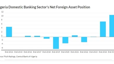 Access Bank, other Nigerian banks well-positioned to meet 2026 Eurobond maturities, says Fitch 3 Screenshot 28 2 2026 14540 www.fitchratings.com