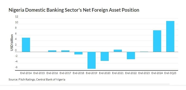 Screenshot 28 2 2026 14540 www.fitchratings.com
