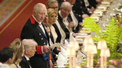We don't have money for Nigeria's president state visit, council tells British government 1 c88d9140 0738 11f1 a374 c57196a4993e.jpg