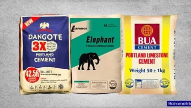 Weak competition, not costs, driving high cement prices in Nigeria – Agora Policy 7 images 2026 02 03T155528.382