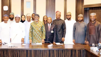 JUST IN: Tinubu constitutes committee to oversee new grid asset management firm 8 5cf6b6ef 45c9 4ee4 855e 453aa76ee2da