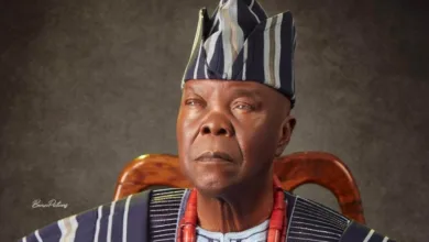 Chief Victor Adedoyin Fagbemi e1773254096429 768x494 1