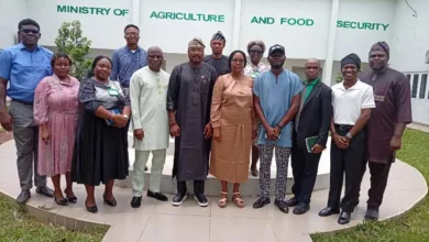 Edo govt pushes ‘Back-to-Farm’ drive, tasks youths on food production 6 FB IMG 1774043156694
