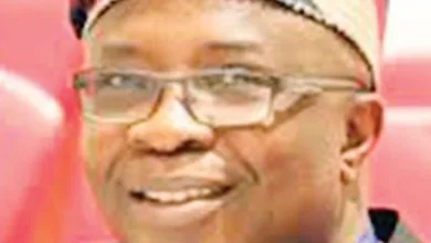 2027: Tinubu will win again, opposition coalition a waste of time-Lagos Lawmaker 3 Hon