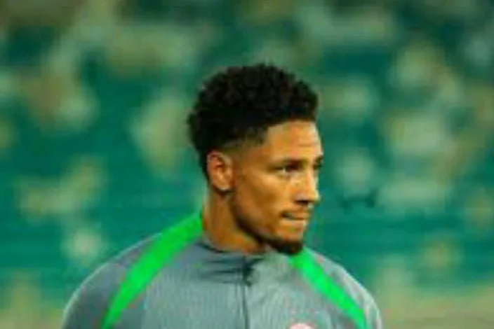 Okoye ruled out of Super Eagles’ Jordan clash after training injury 1 IMG 20260330 WA04752
