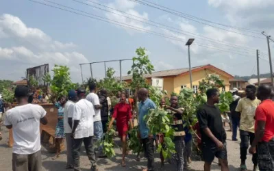 JUST IN: Residents organise protest over incessant killings, abductions in Ondo community 1